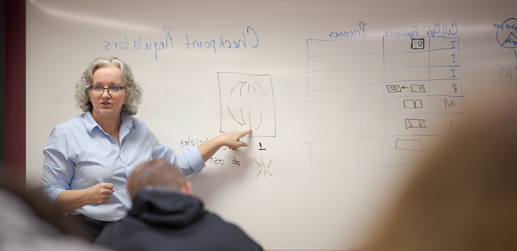 Dr. Hardy teaching students while pointing to a diagram on the whitebaord.